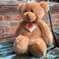 TeddyBeer